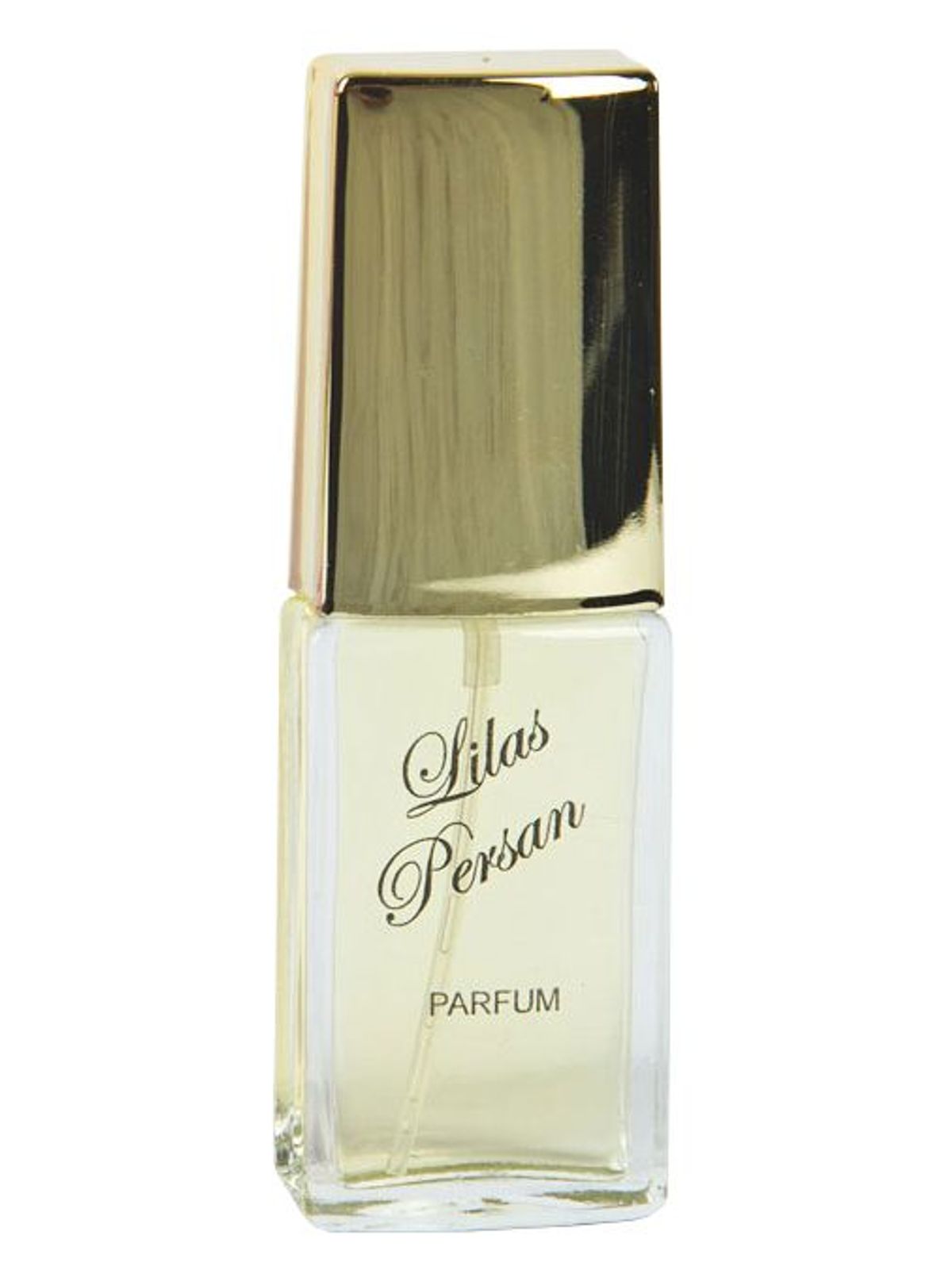 Lilas Persan