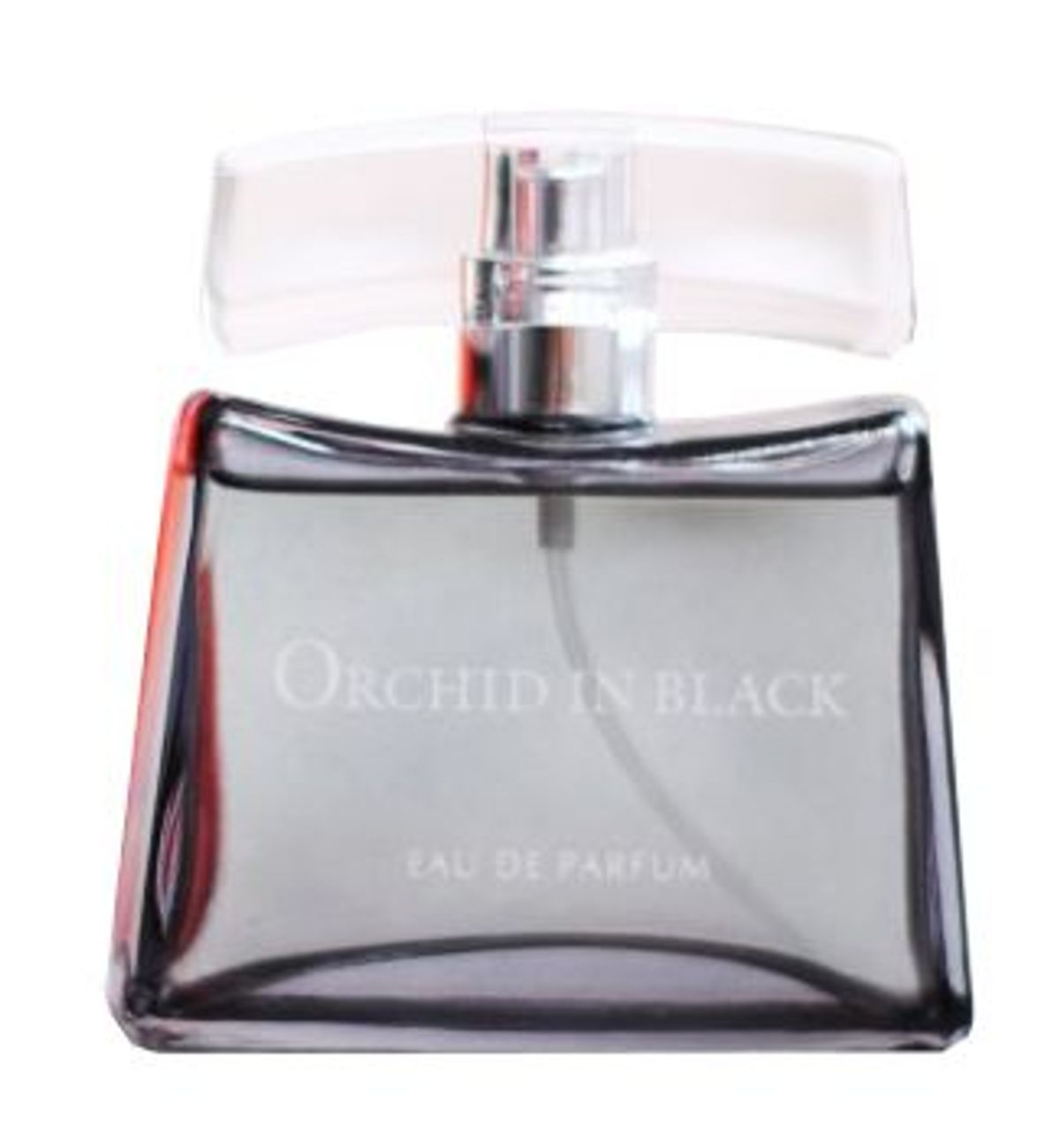 Orchid in Black