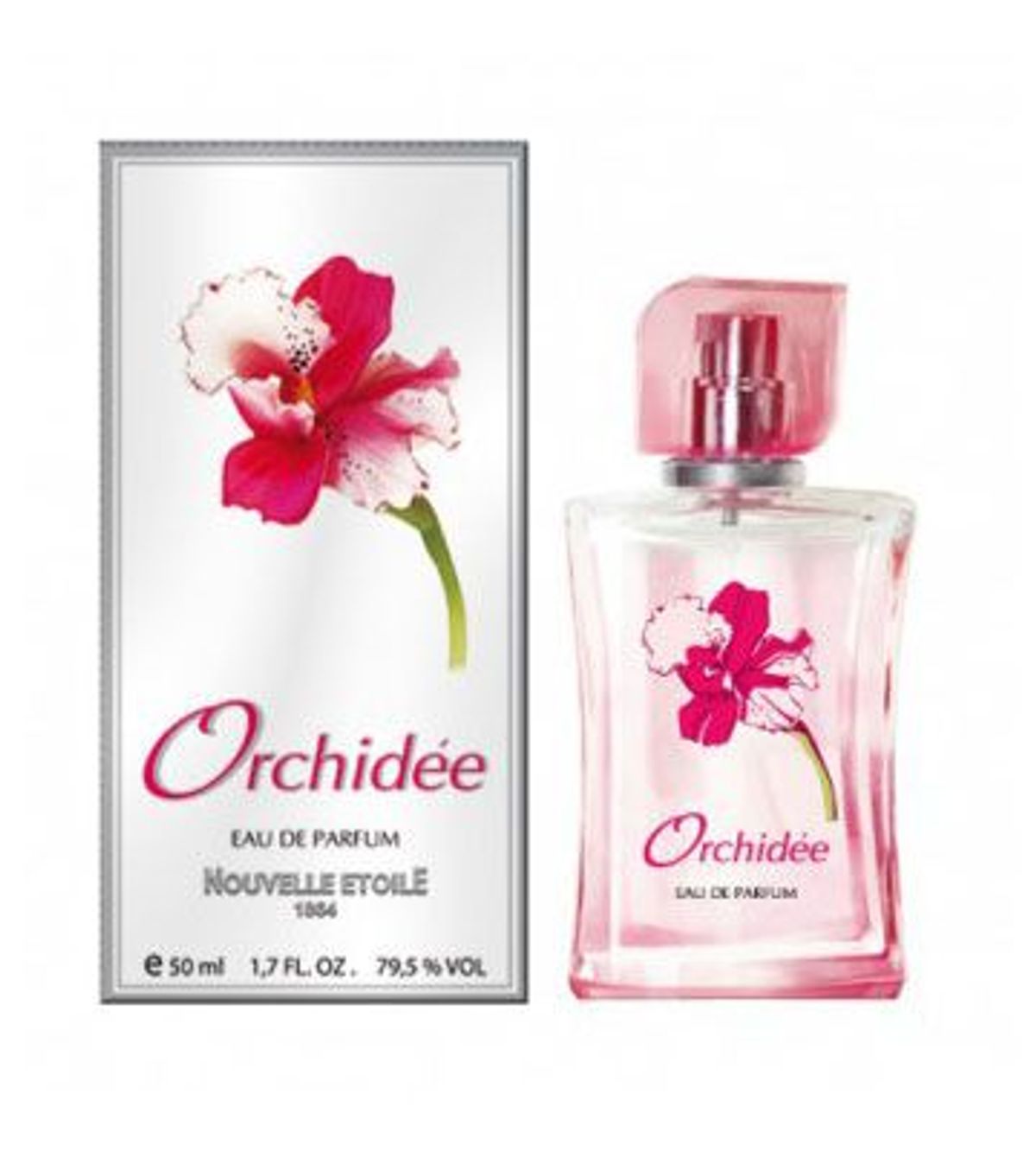 Orchidee