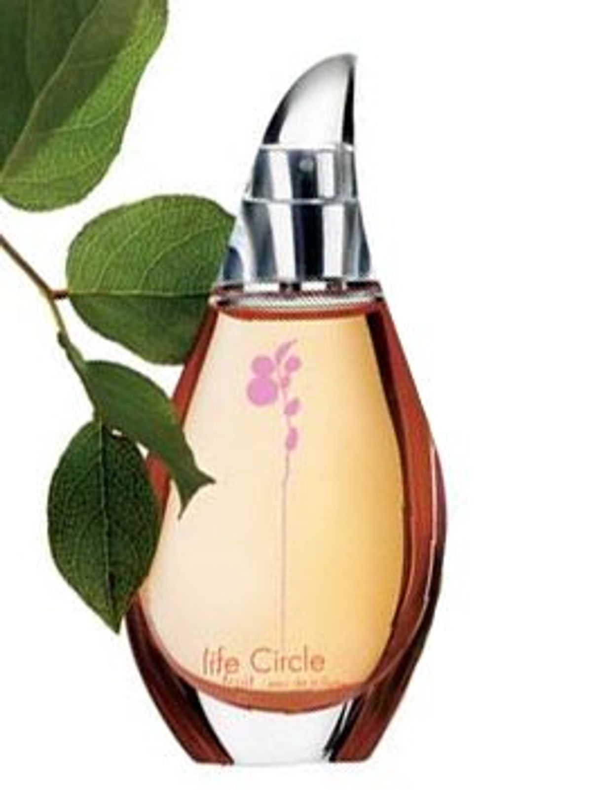Life Circle Fruit