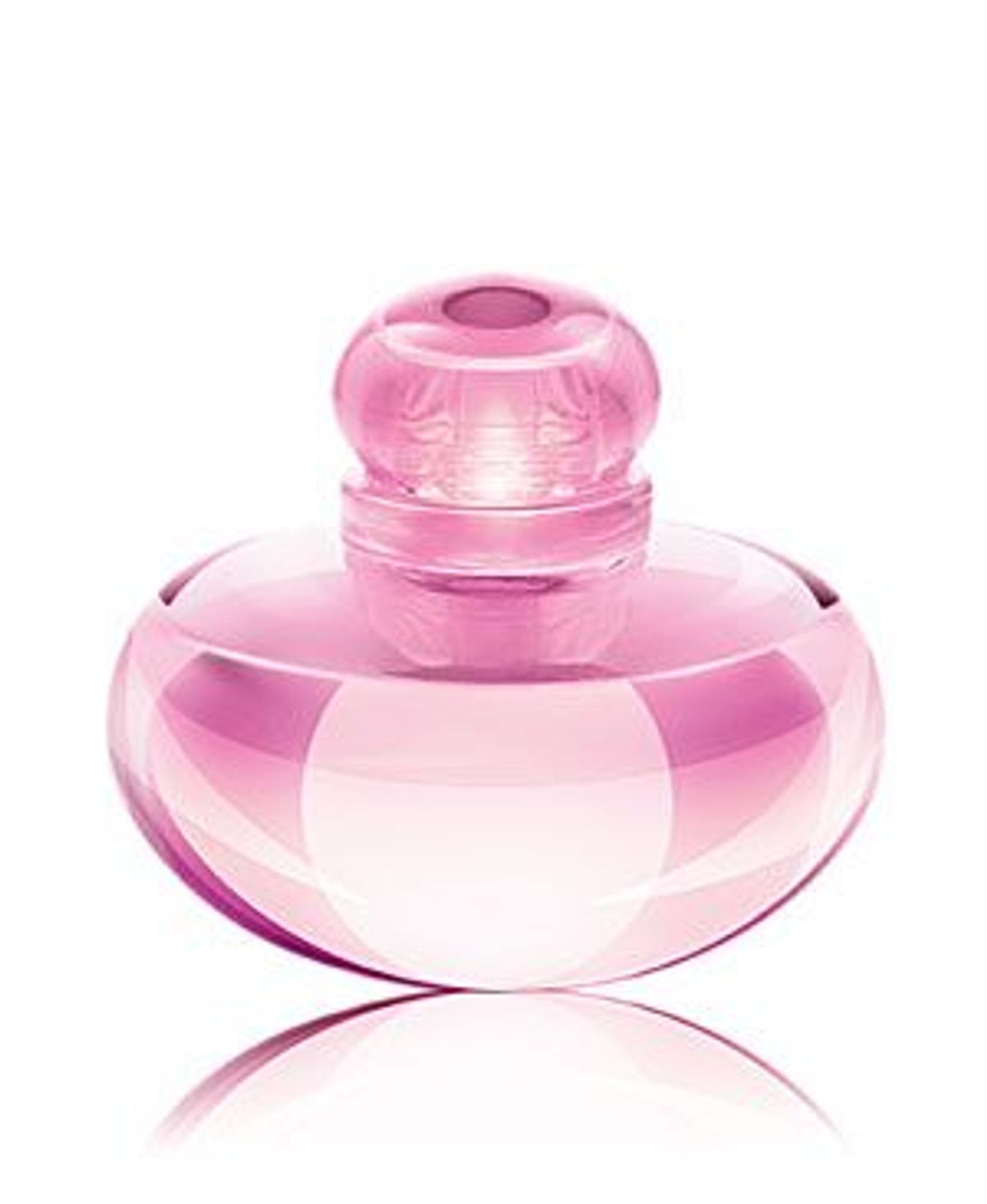 Volare Magnolia