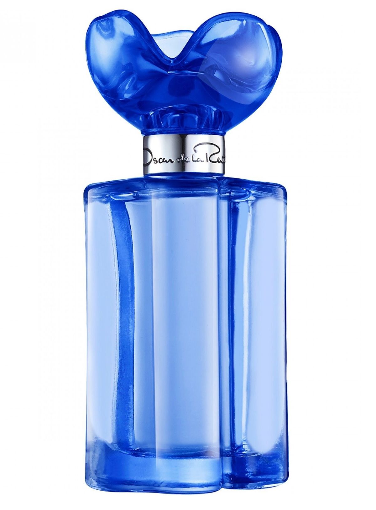 Blue Orchid