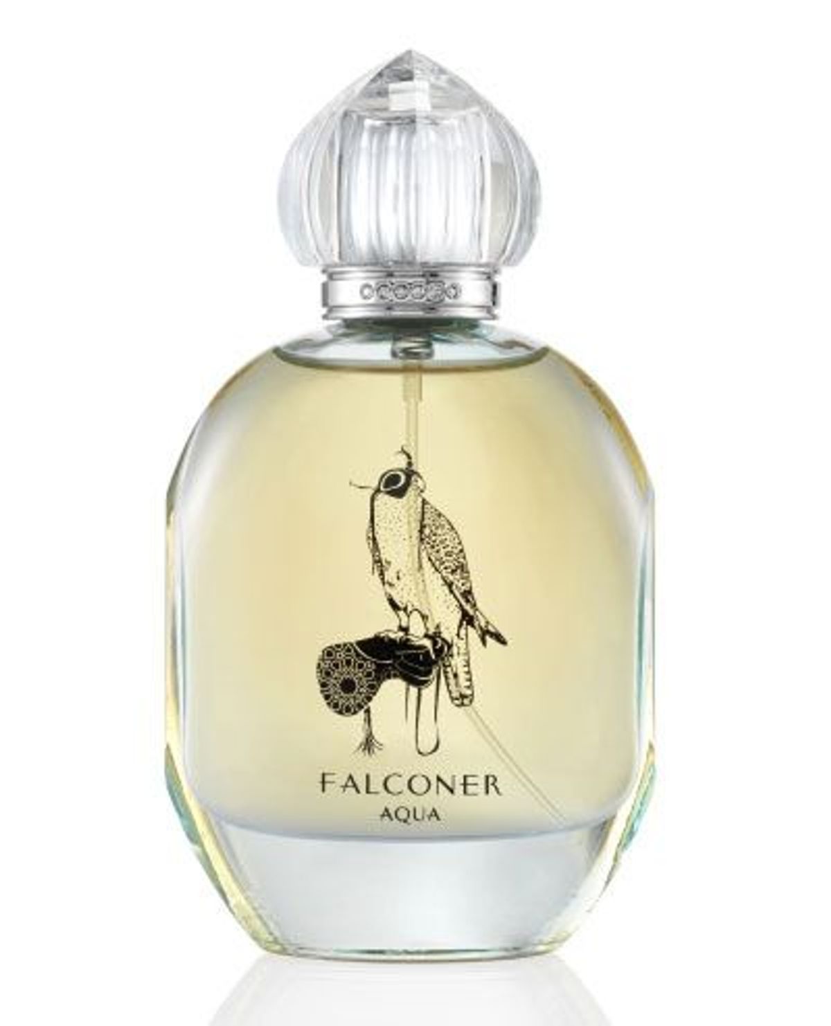 Falconer Aqua
