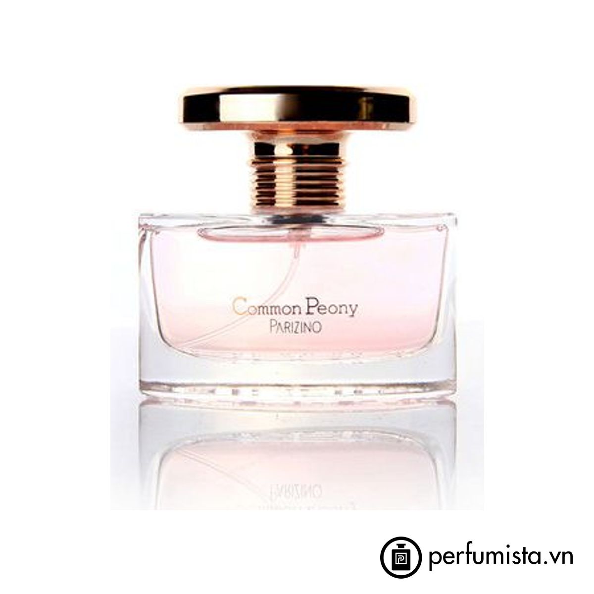 Common Peony 国色天香