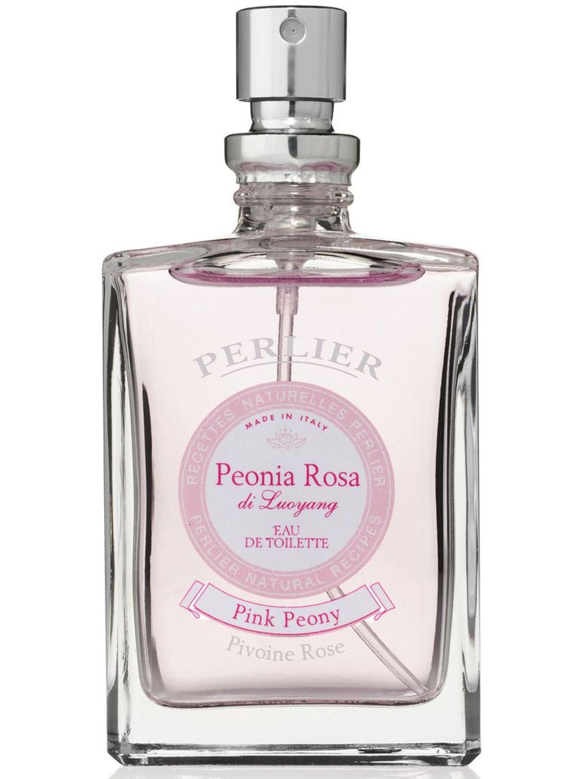 Peonia Rosa