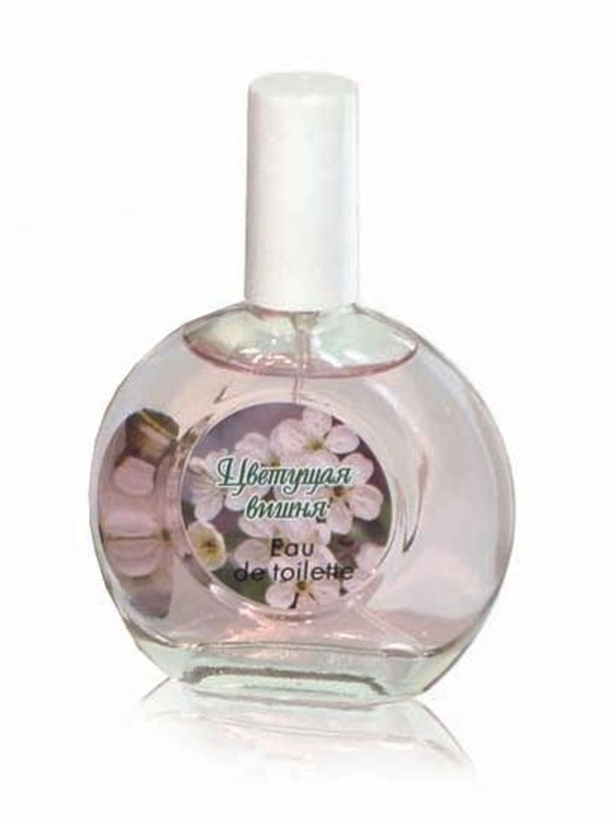 Cherry Blossom