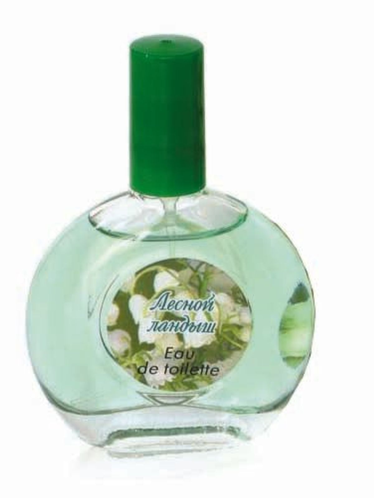 Forest Lily-of-the-Valley