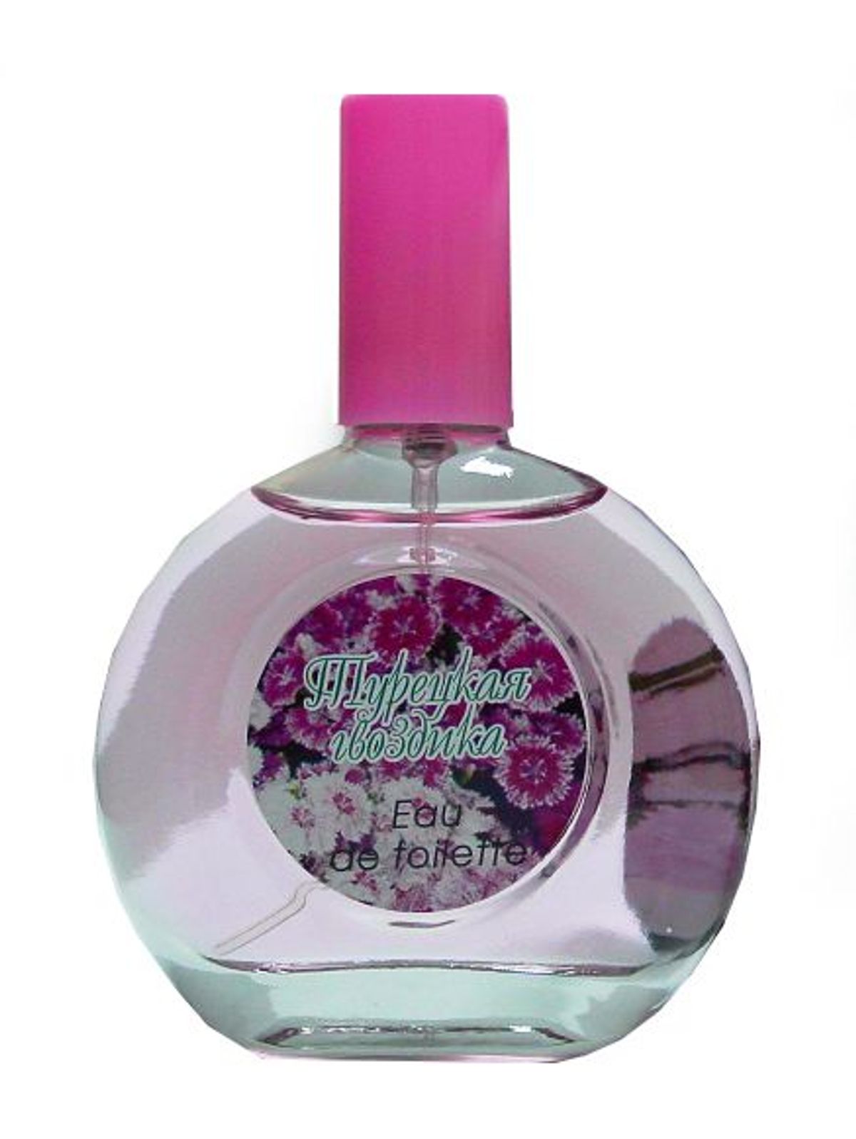 Turkish Carnation