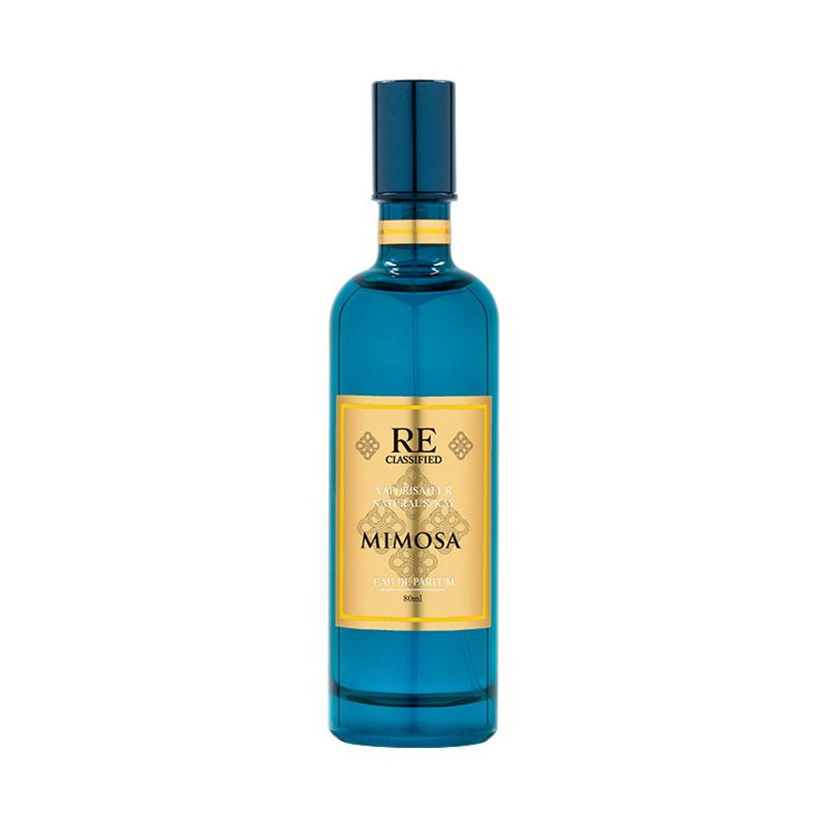 Mimosa 含羞草