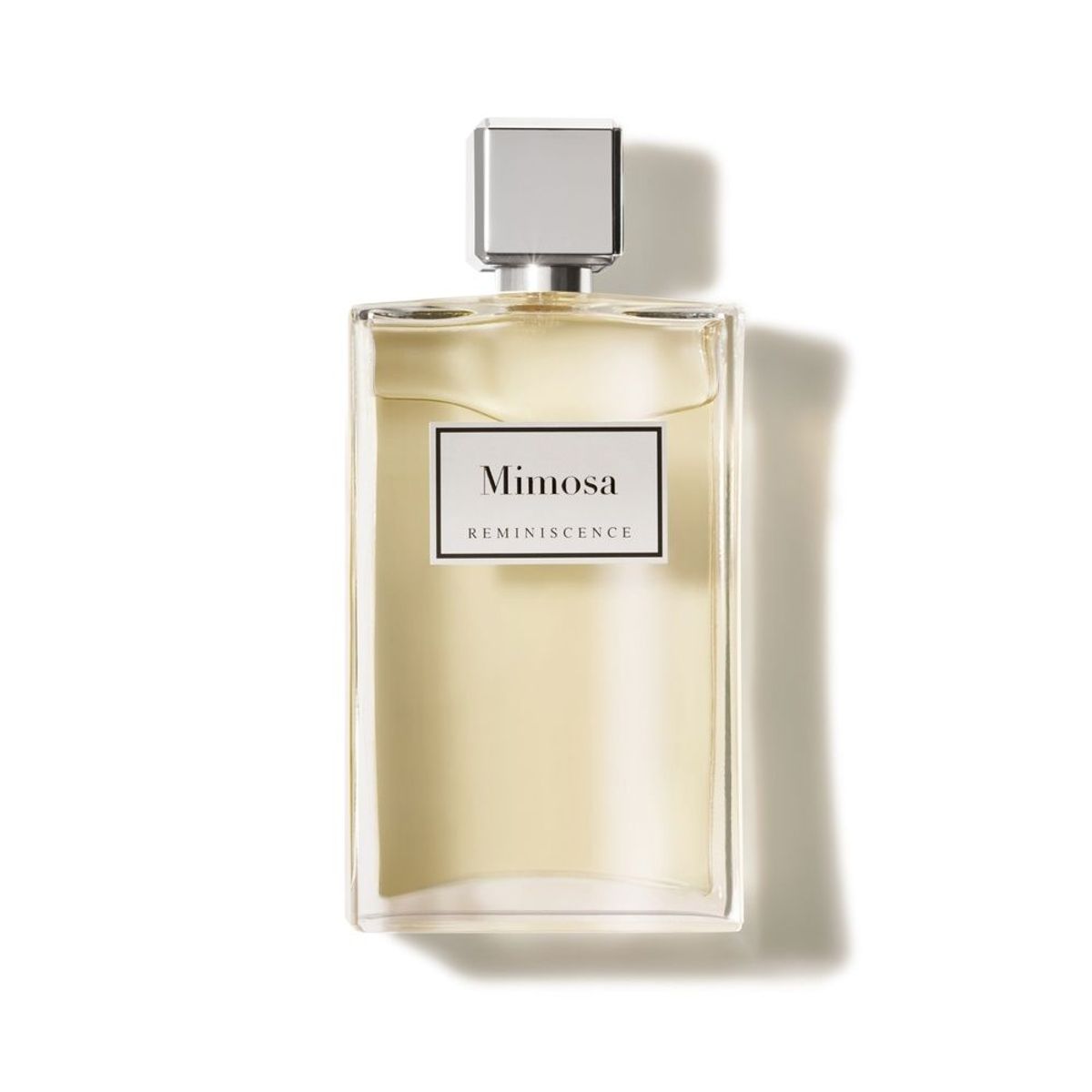 Mimosa