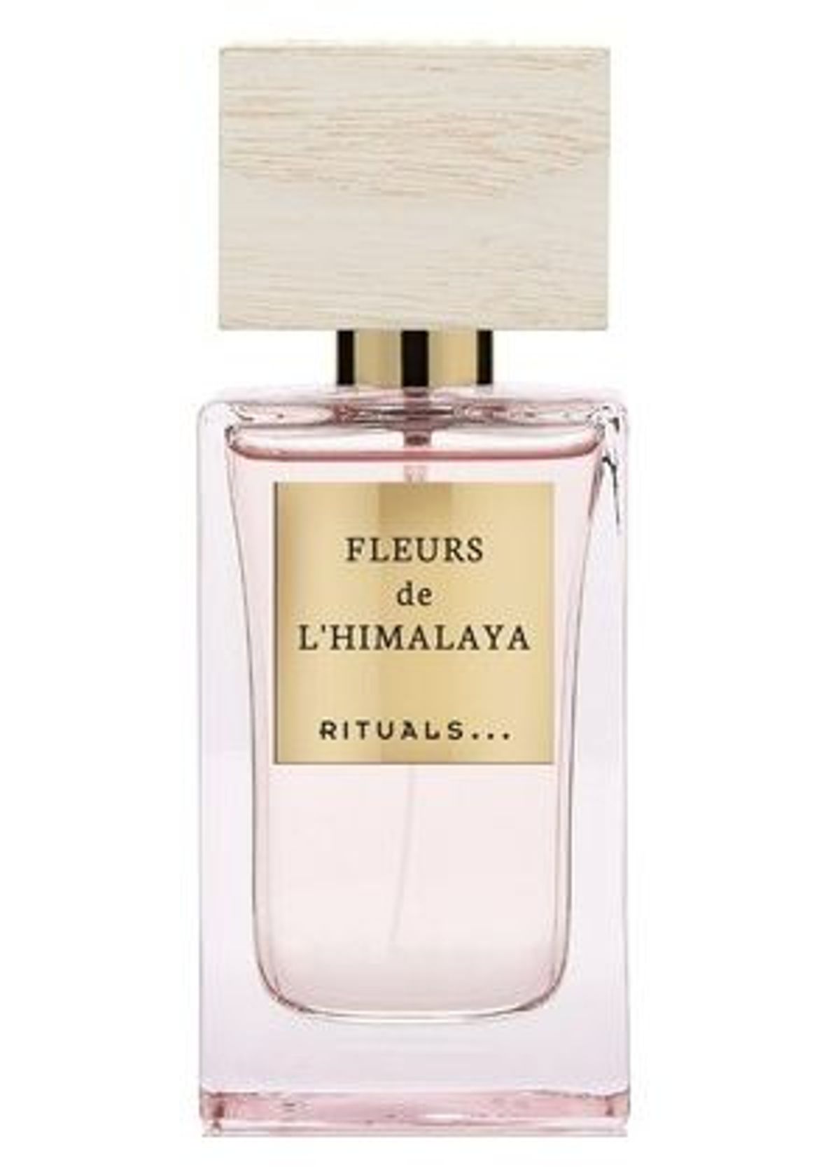 Fleurs de L'Himalaya