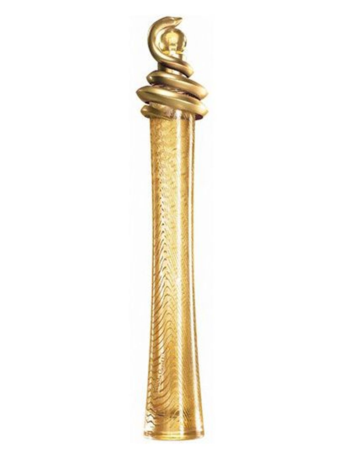 Roberto Cavalli Oro