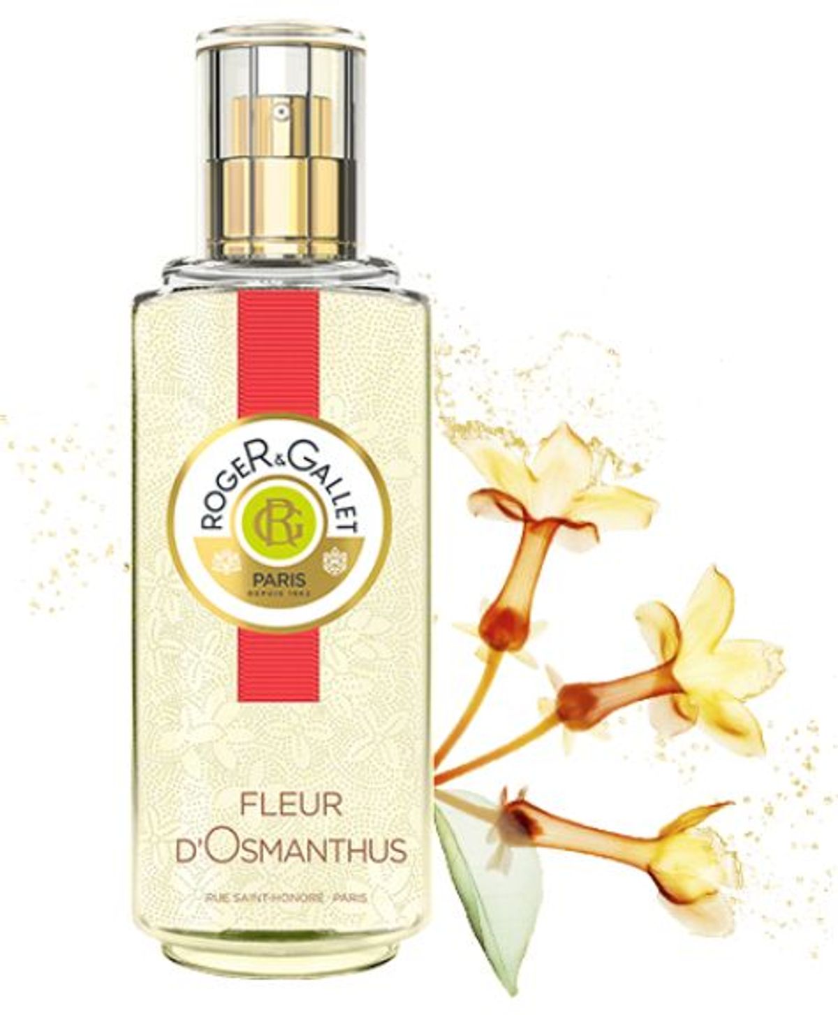 Fleur d'Osmanthus
