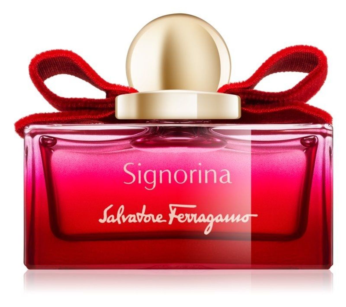 Signorina Limited Edition 2018