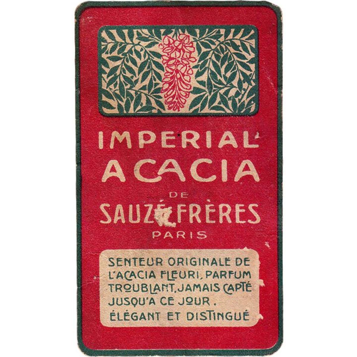 Imperial Acacia