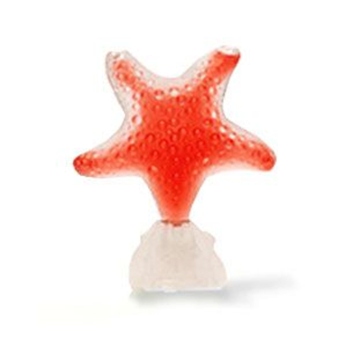 Star Red Pasion