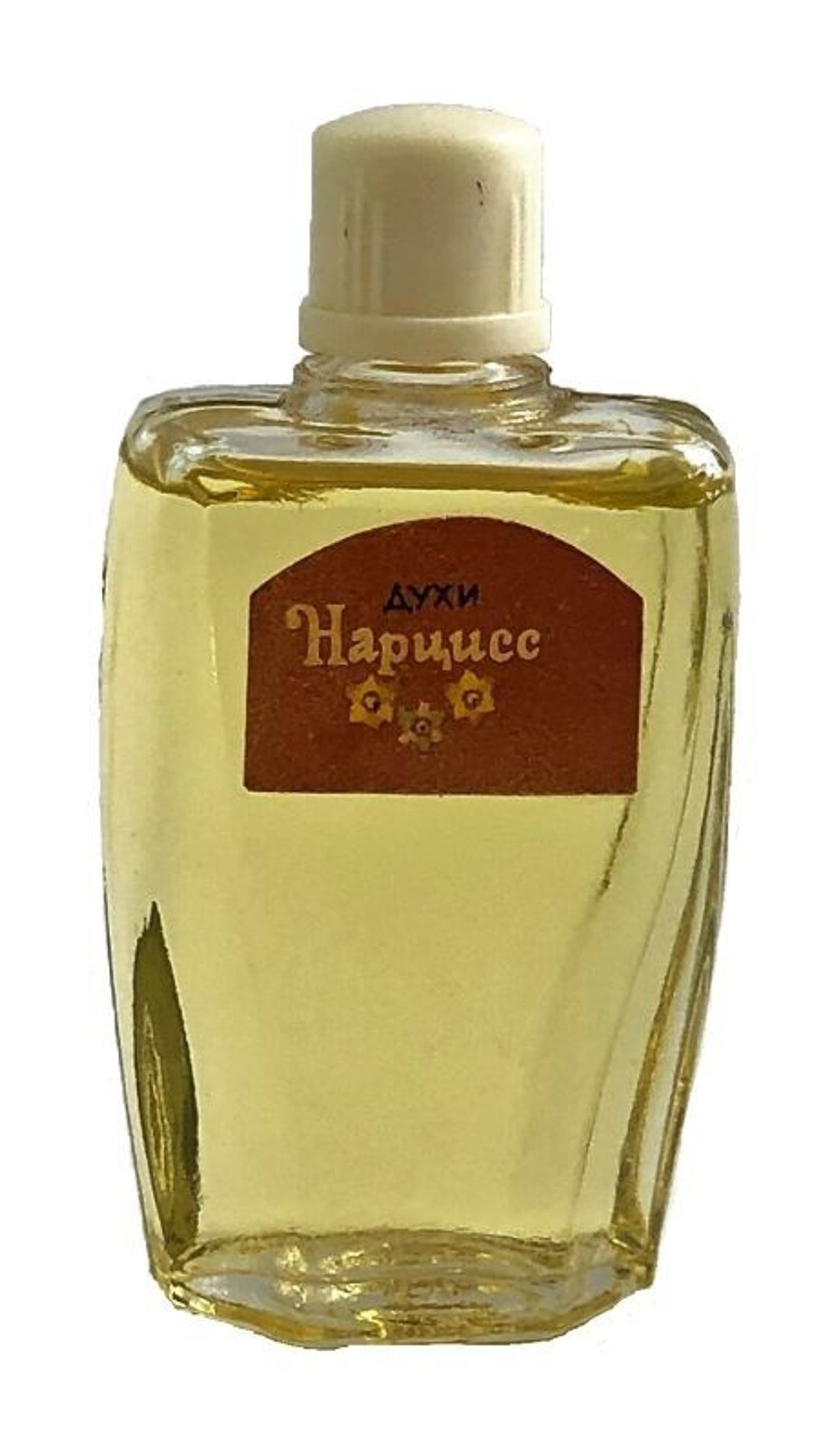 Нарцисс (Narcissus)