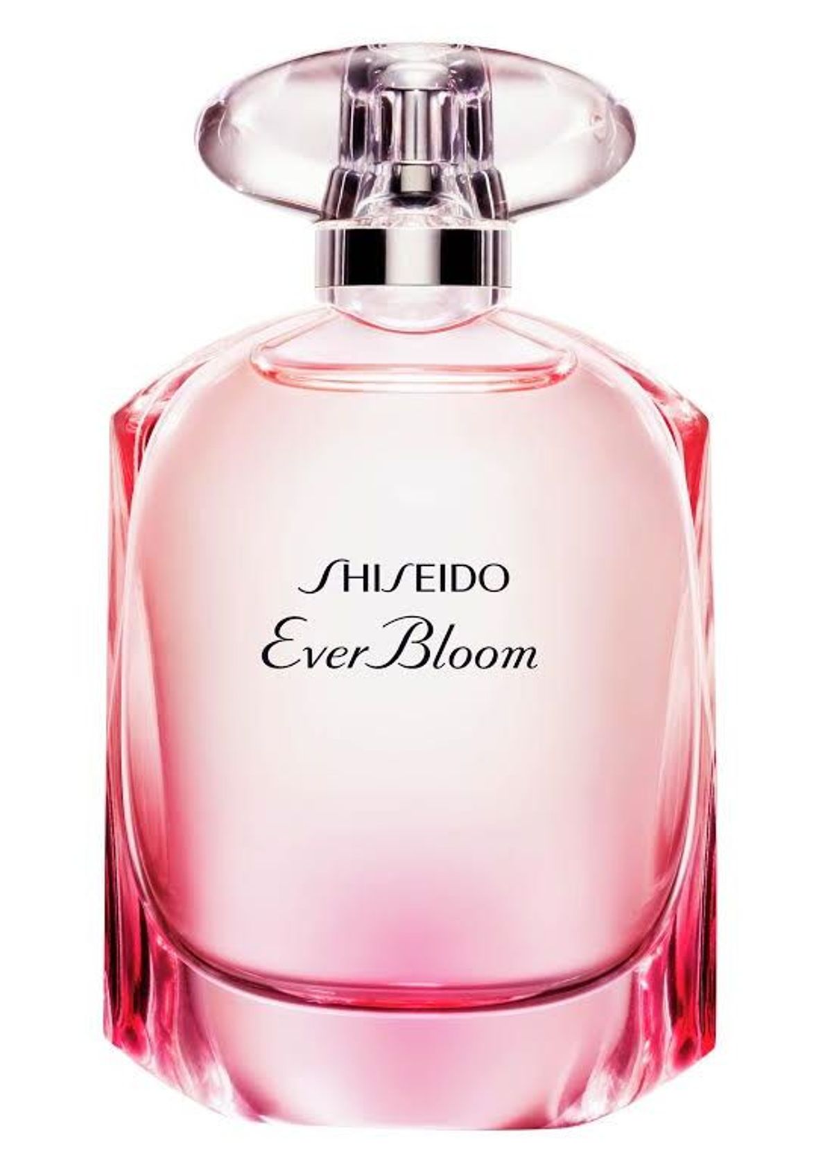 Ever Bloom