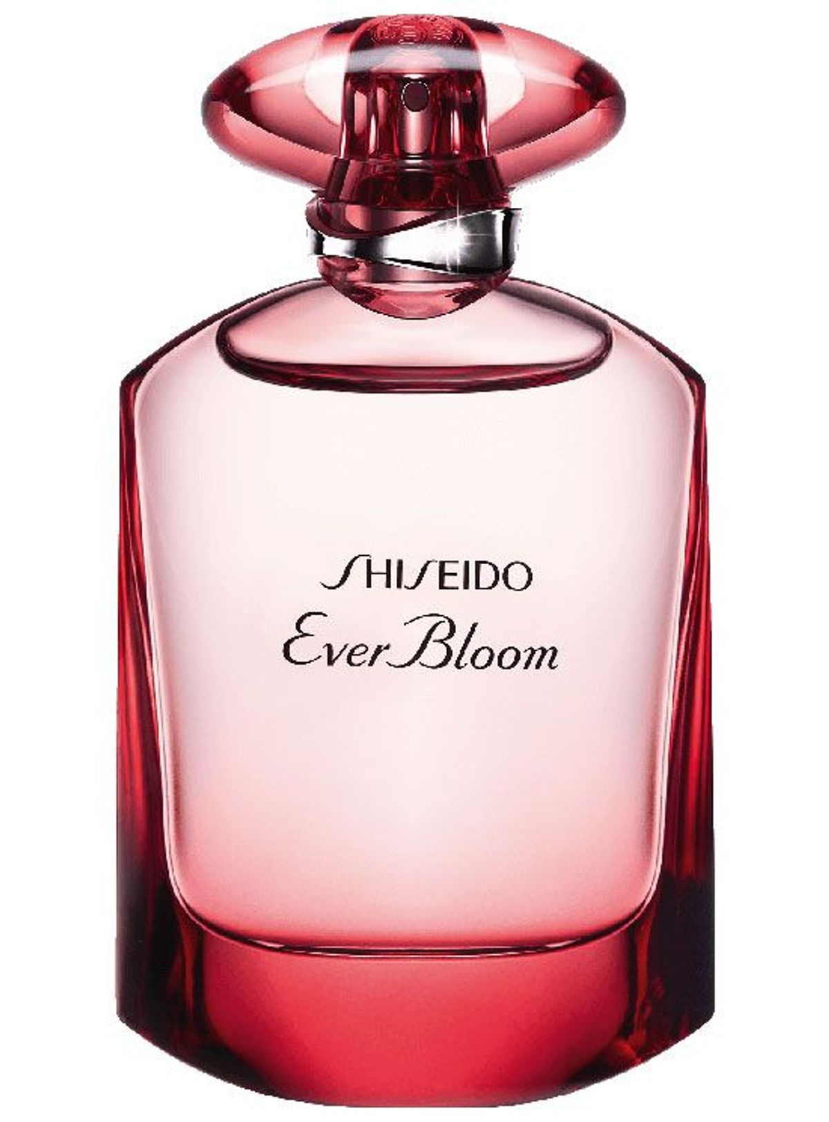 Ever Bloom Ginza Flower