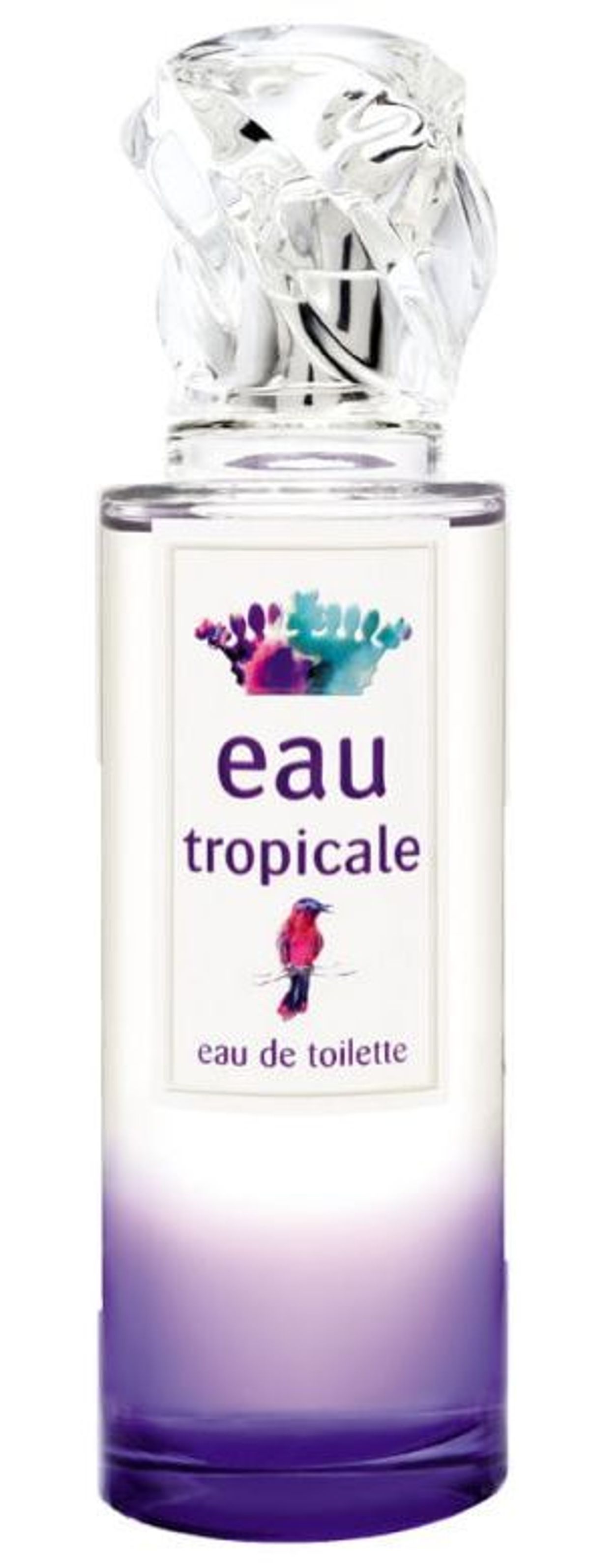 Eau Tropicale