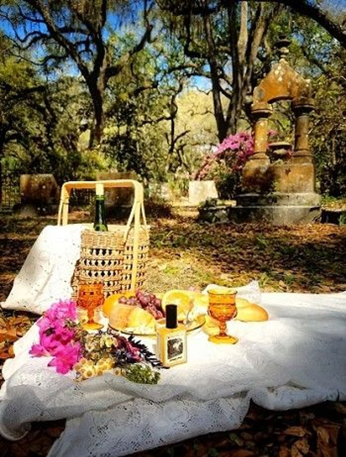 Victorian Picnic