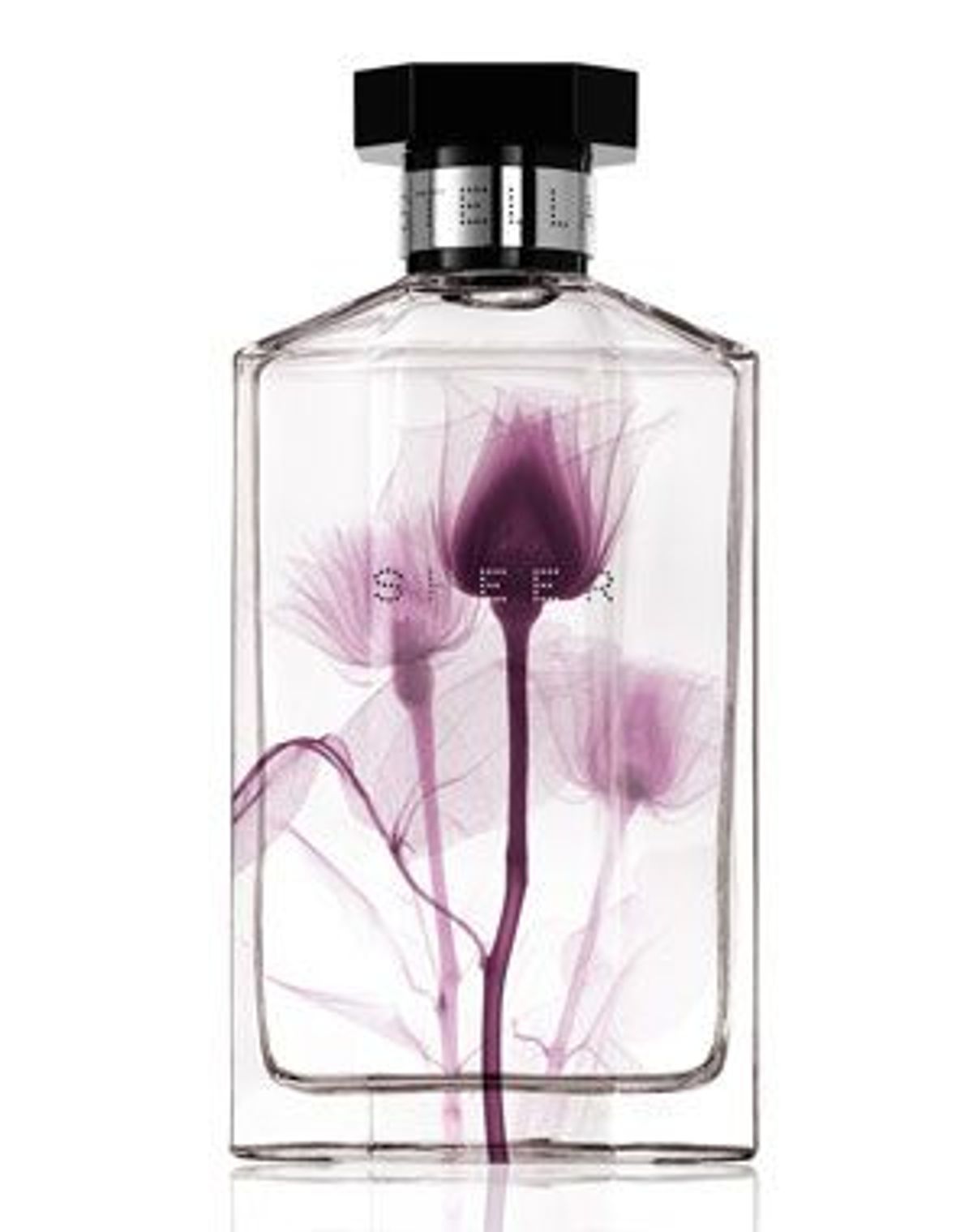 Sheer Stella 2011