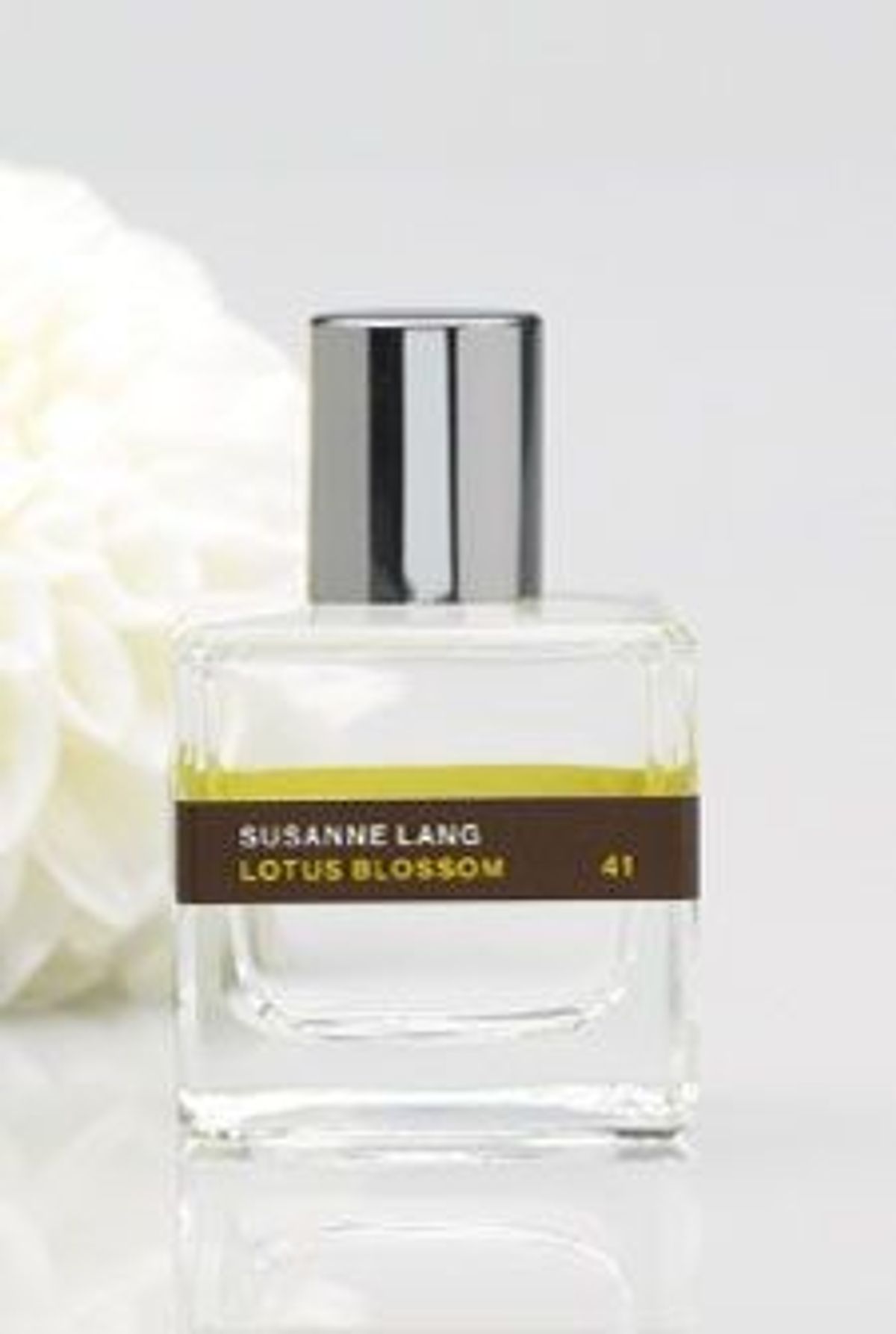 Lotus Blossom
