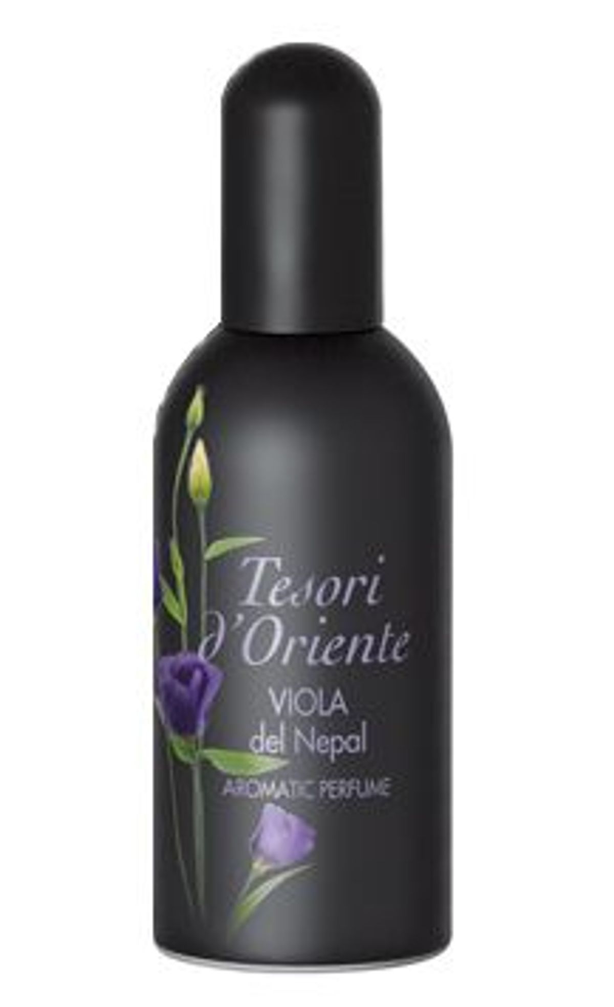 Viola del Nepal