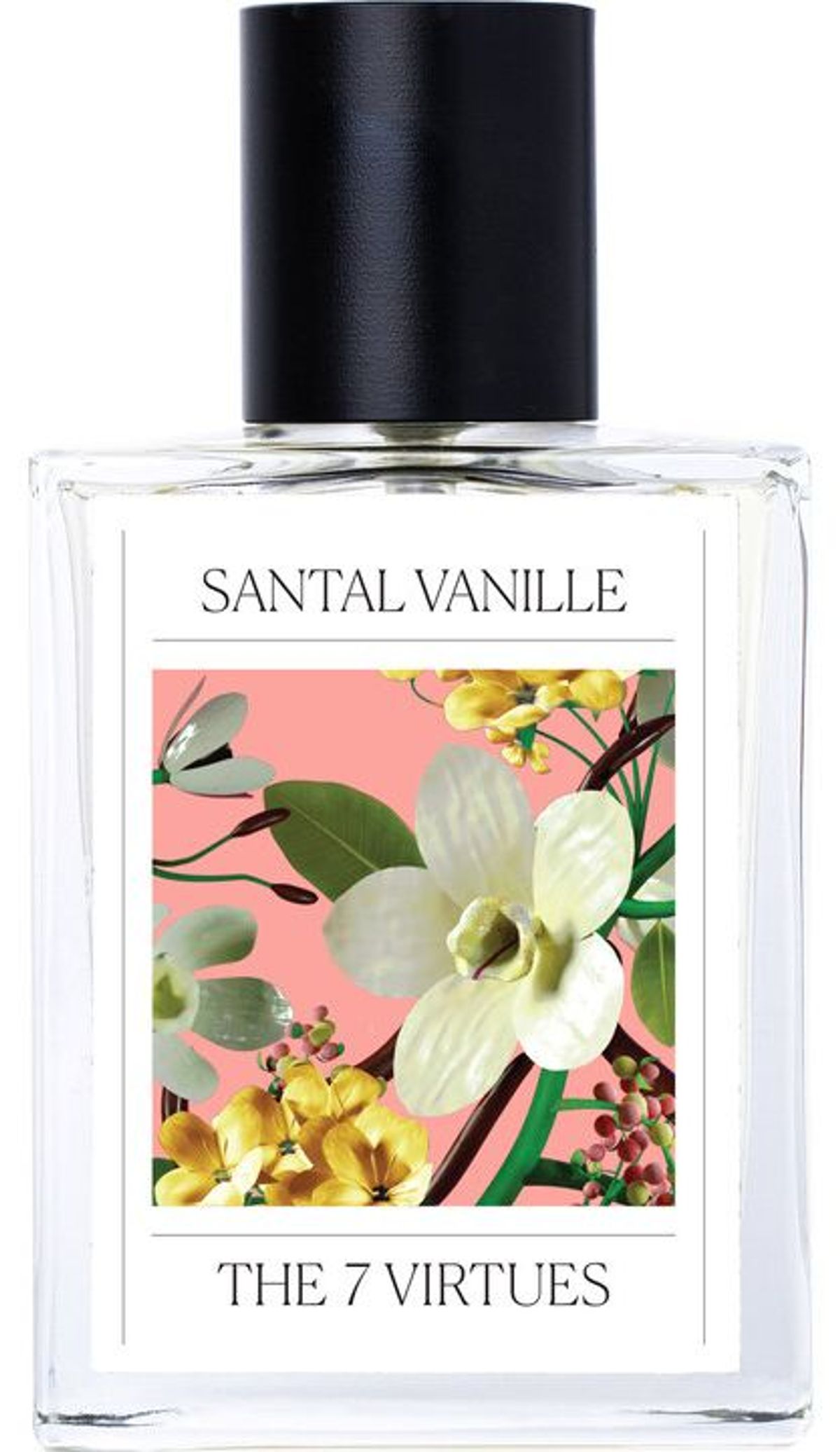 Santal Vanille