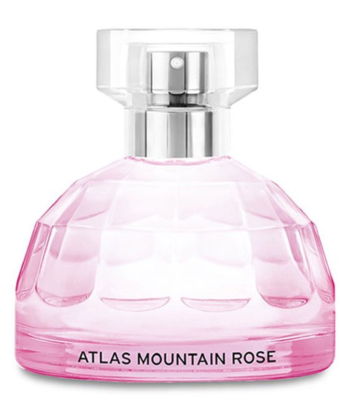 Atlas Mountain Rose