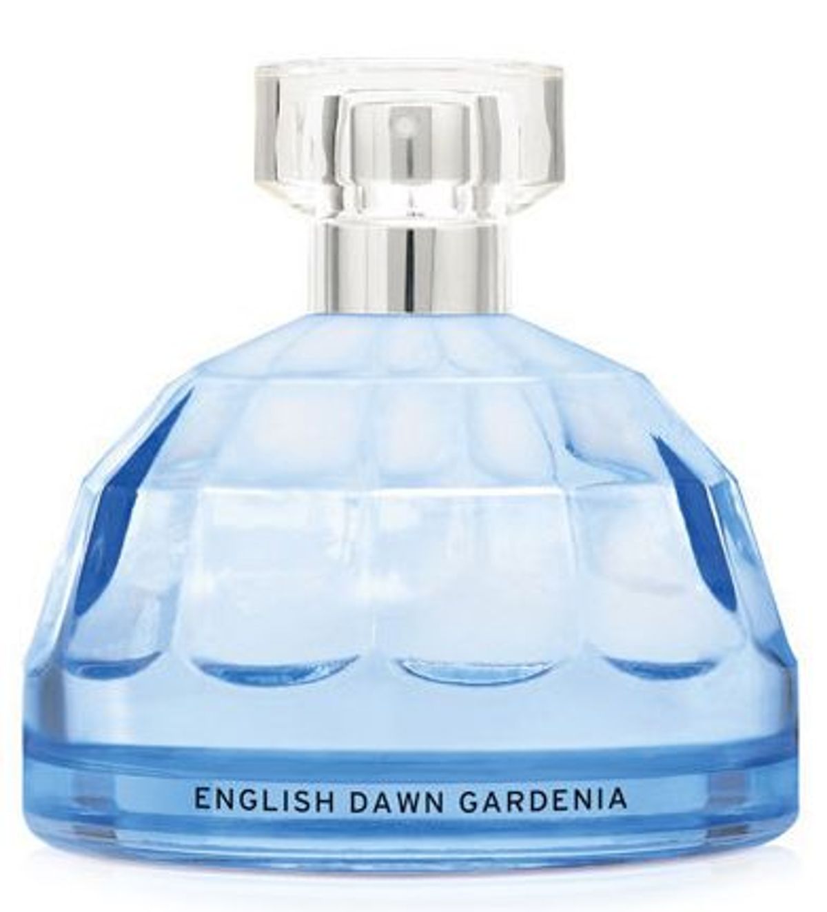 English Dawn White Gardenia