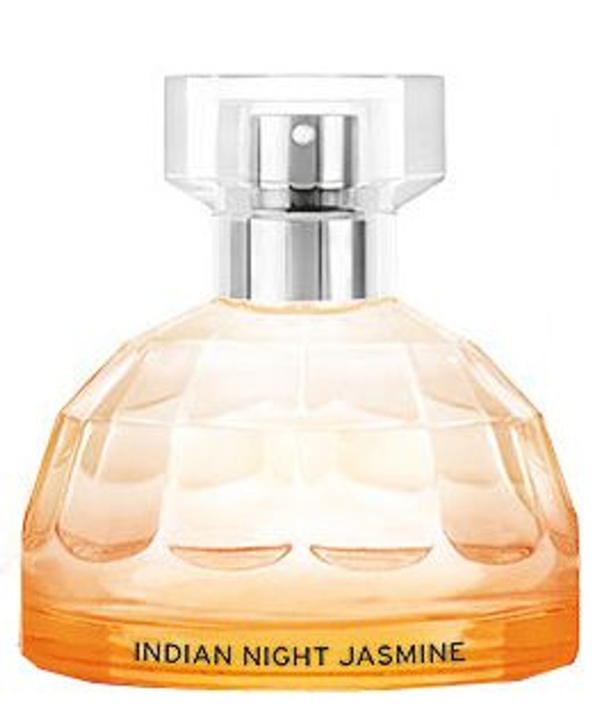 Indian Night Jasmine