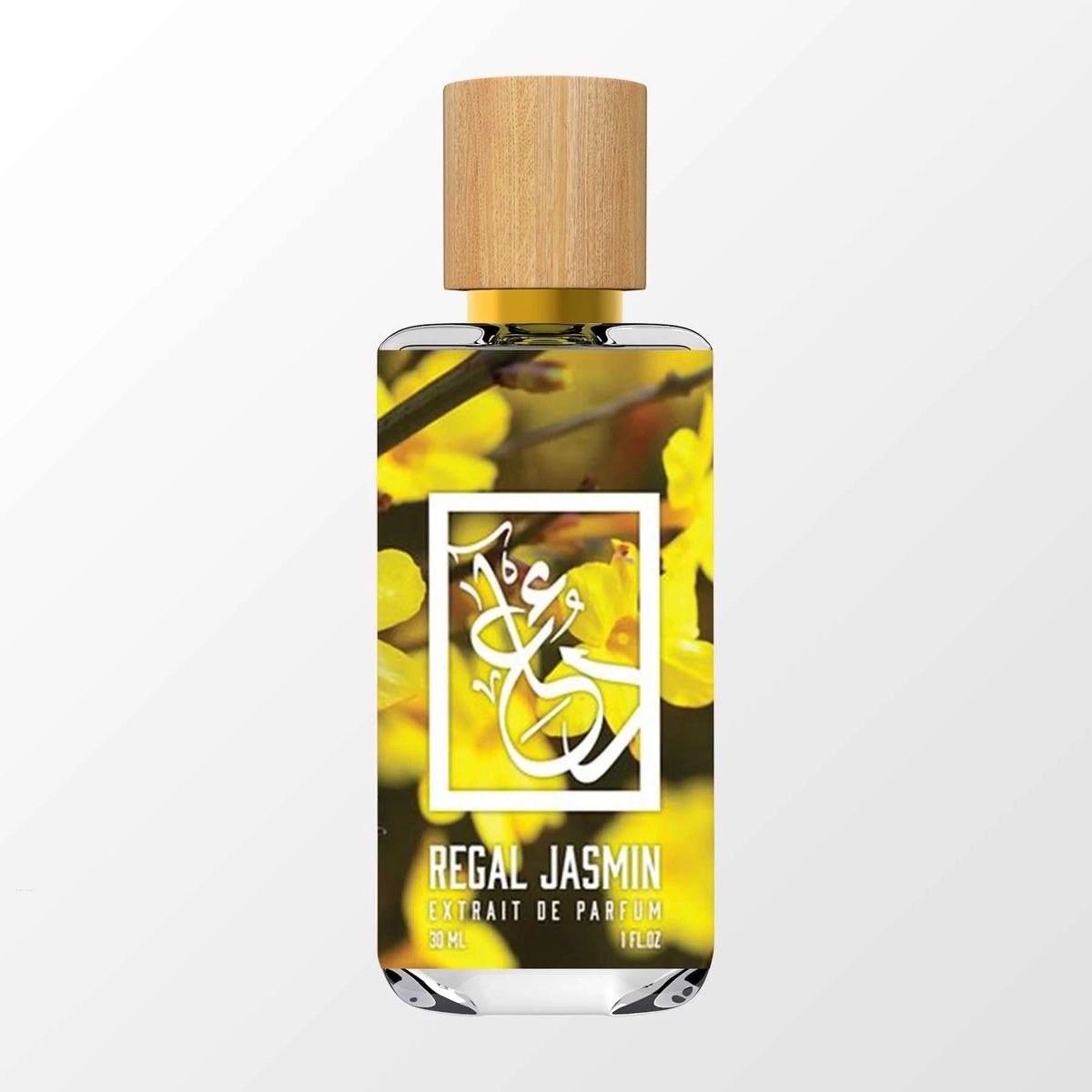 Regal Jasmine