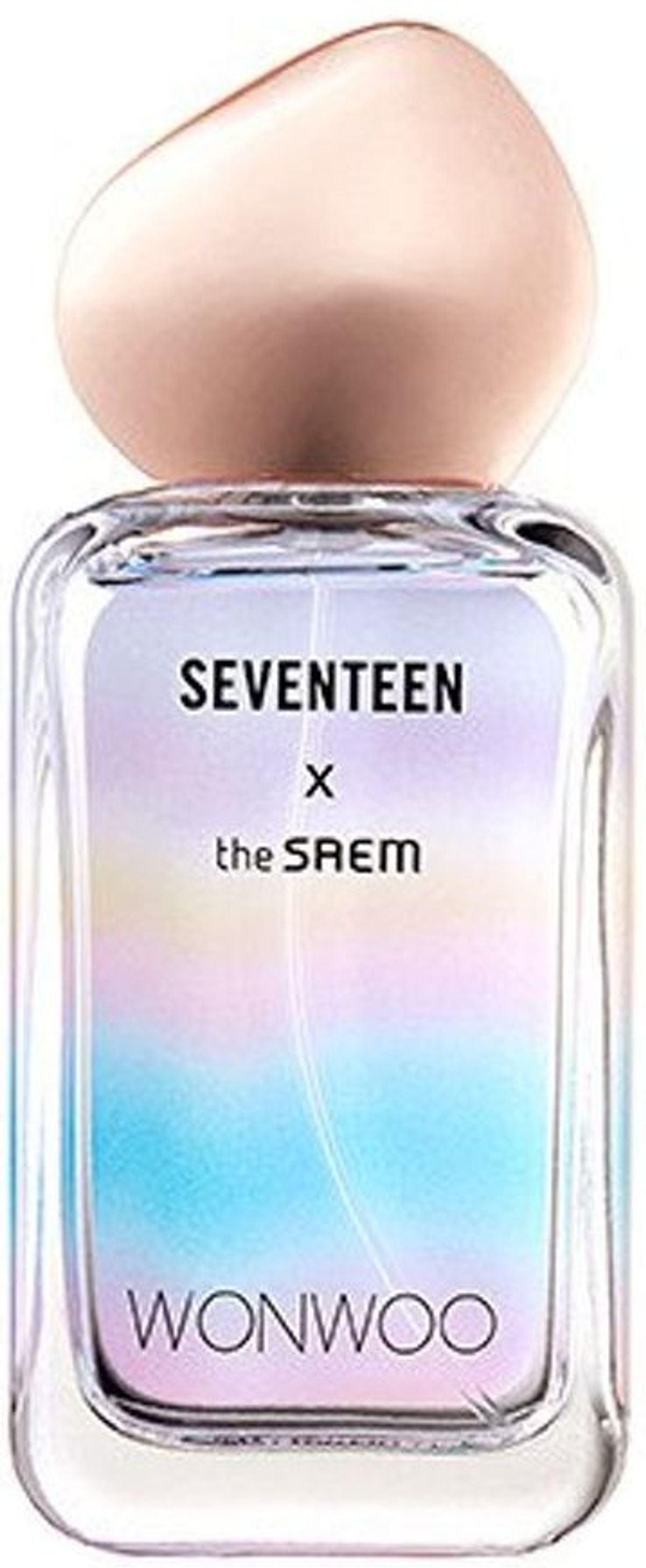 Seventeen X Wonwoo