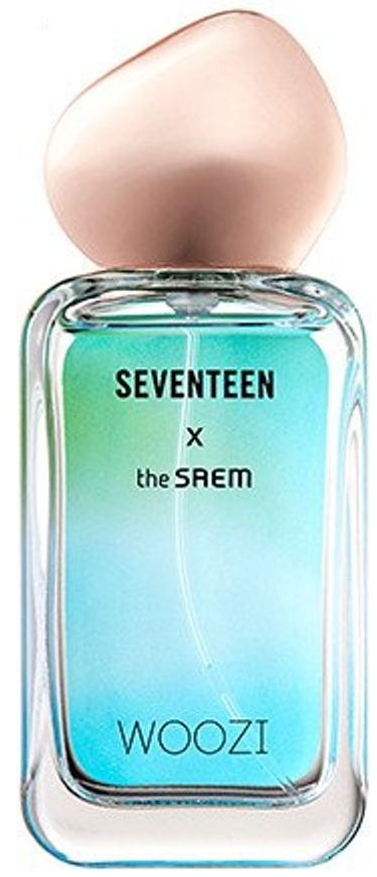 Seventeen X Woozi