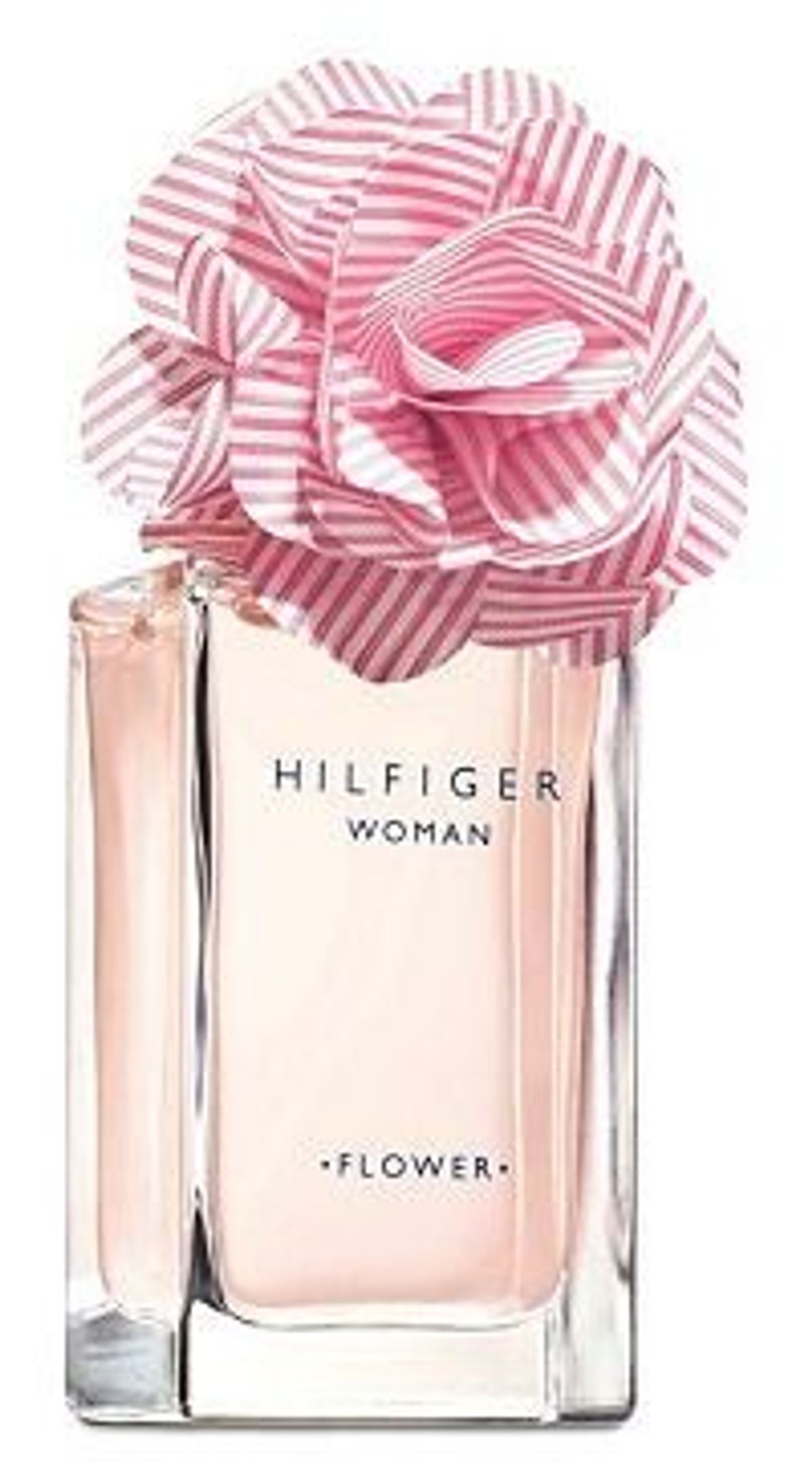 Flower Rose