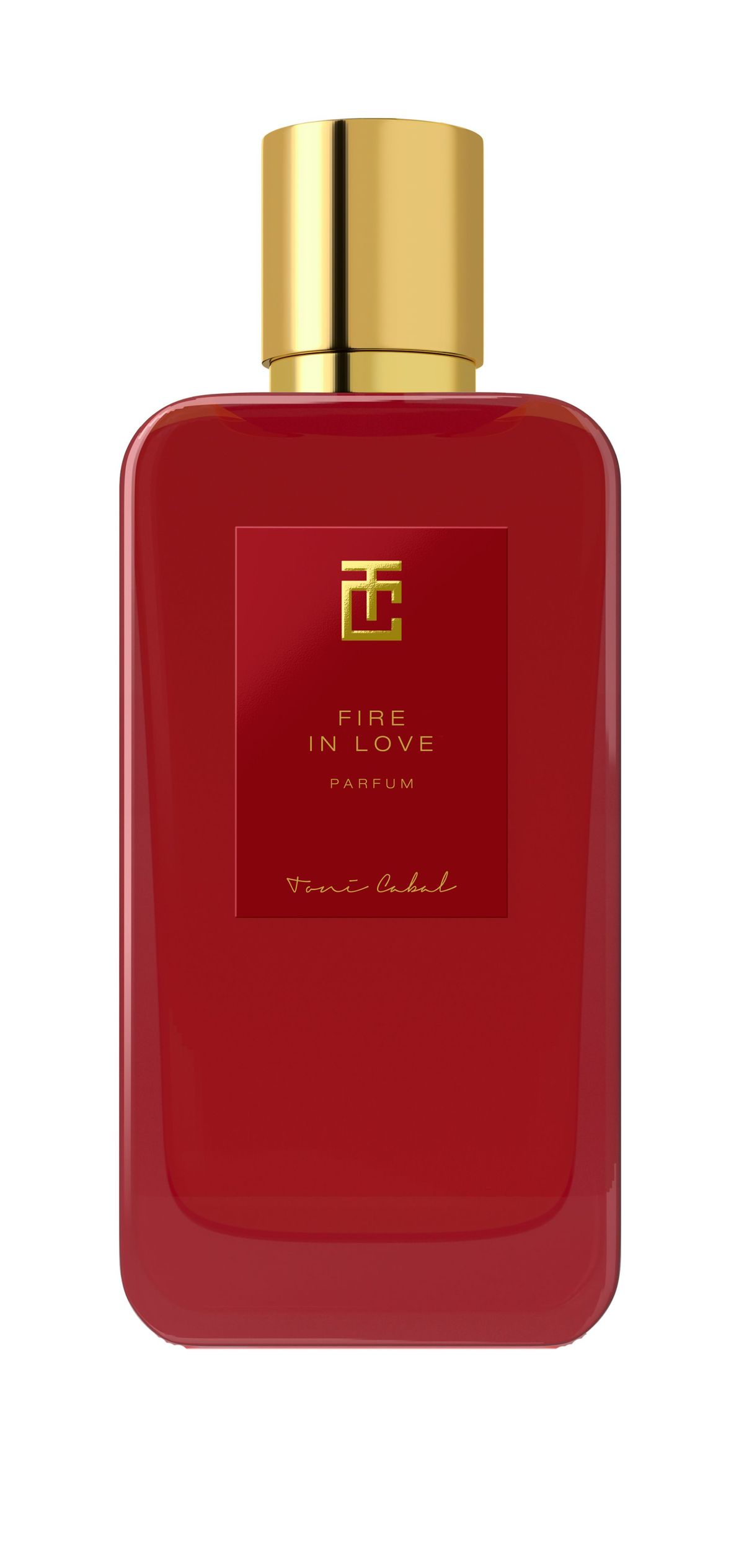 Fire In Love