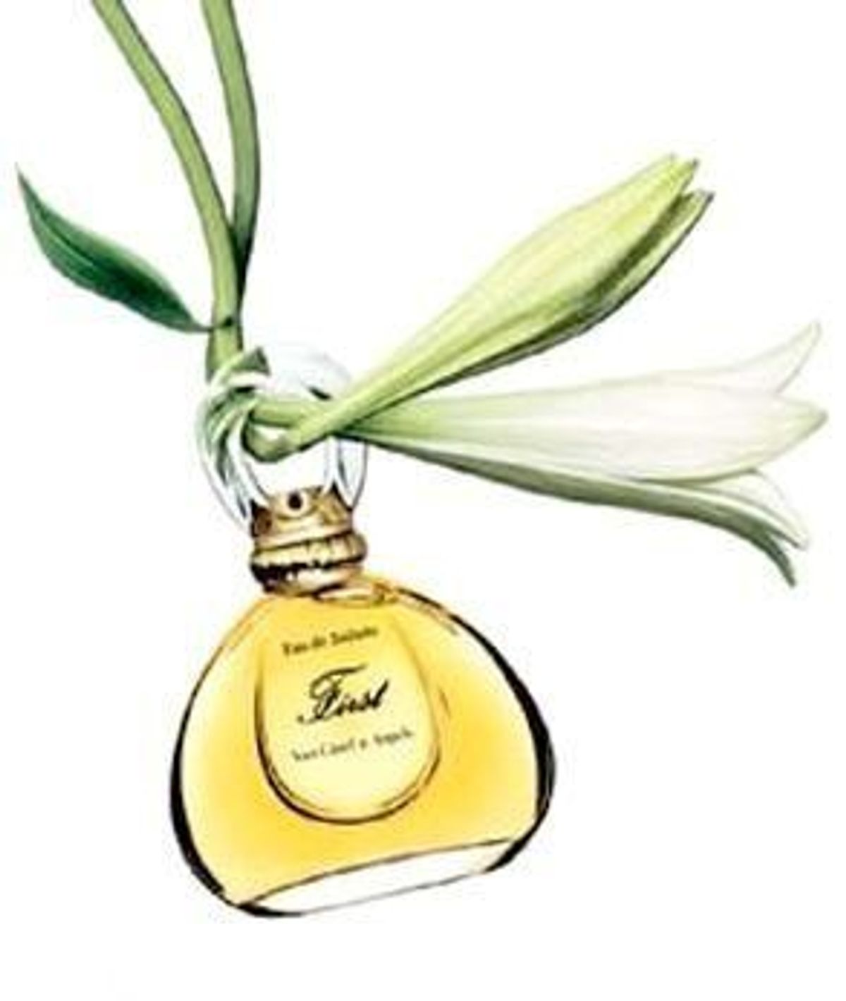 First Jasmin de Chine
