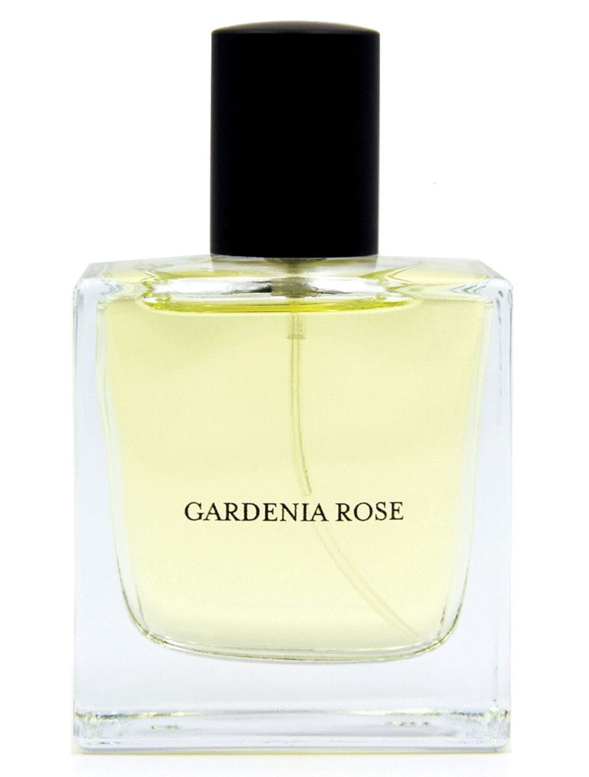 Gardenia Rose