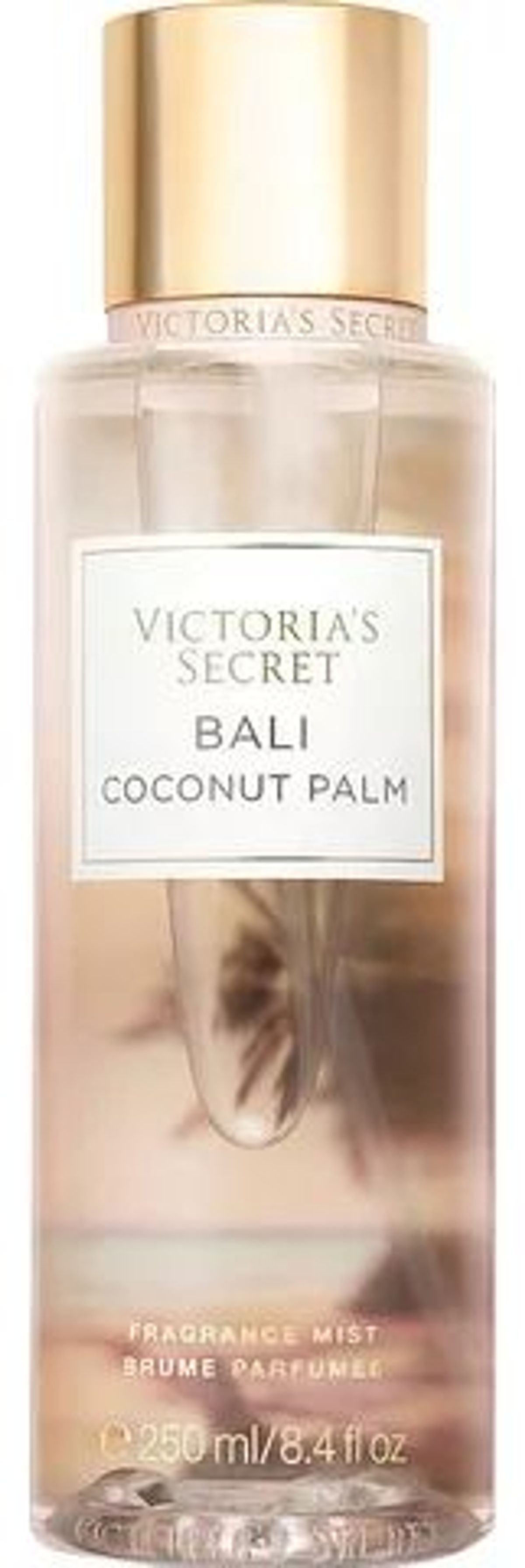 Bali Coconut Palm