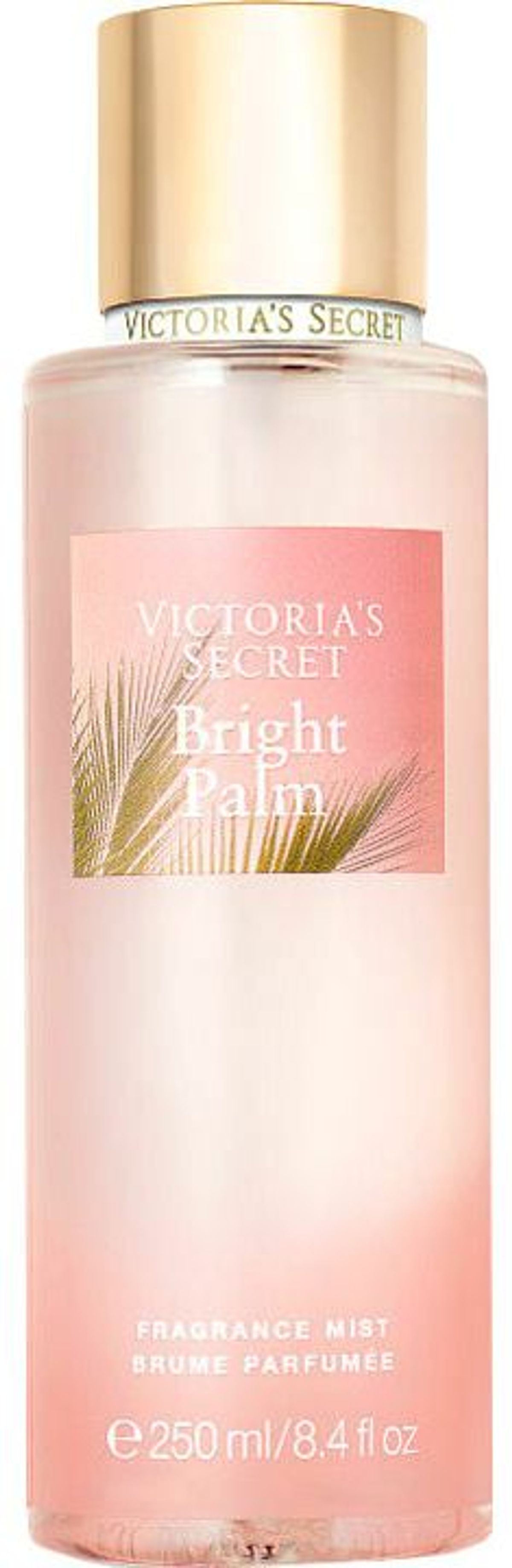 Bright Palm