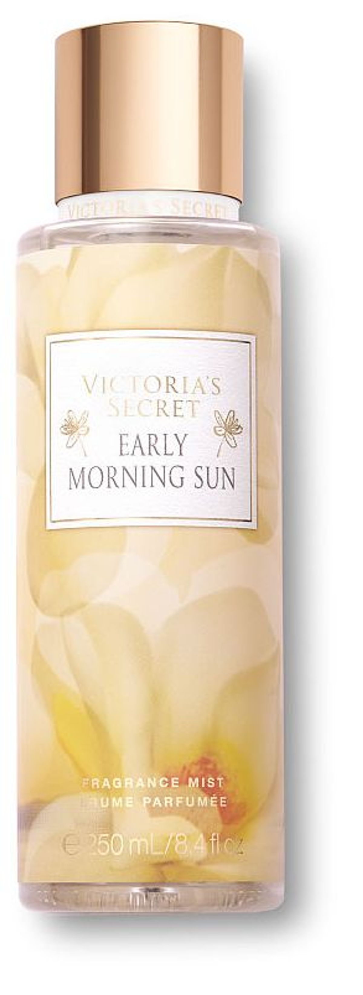 Early Morning Sun