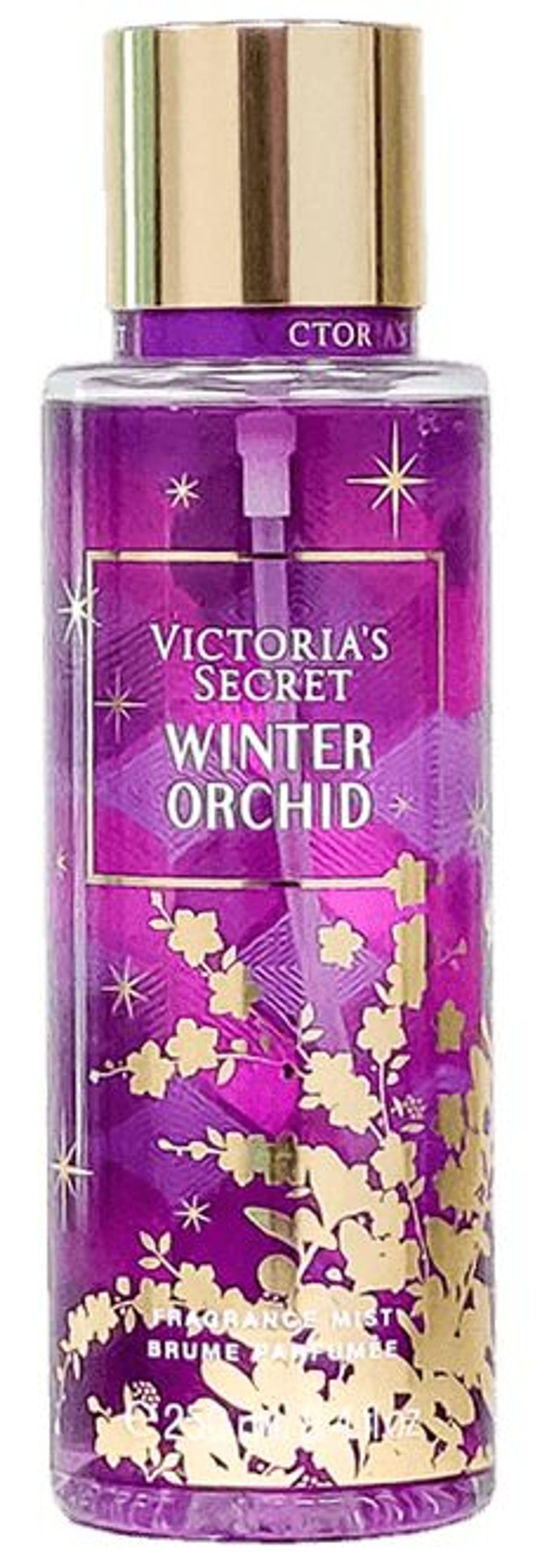 Winter Orchid