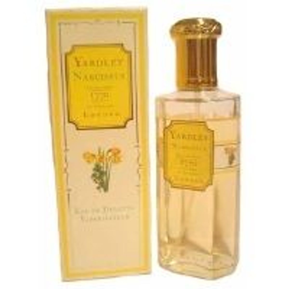 Narcissus