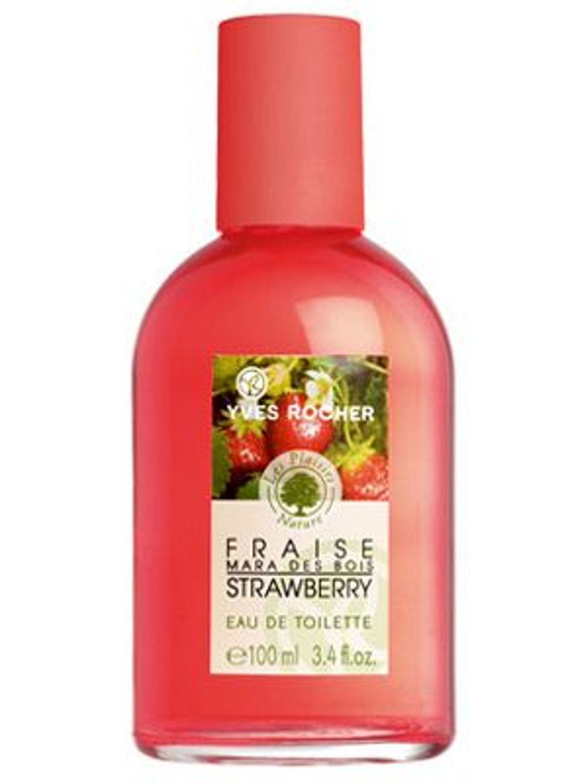 Fraise Mara des Bois