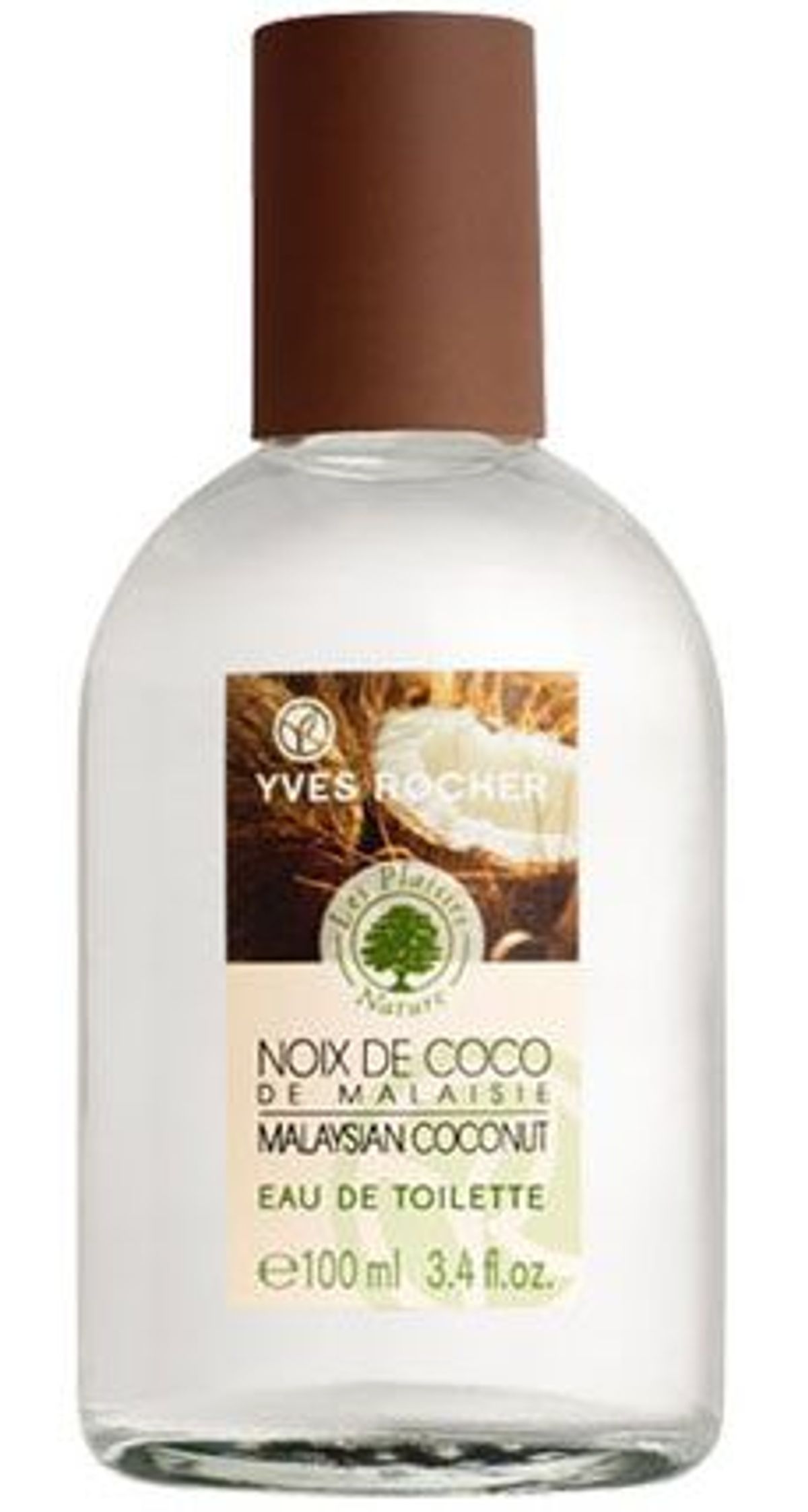 Noix de Coco de Malaisie