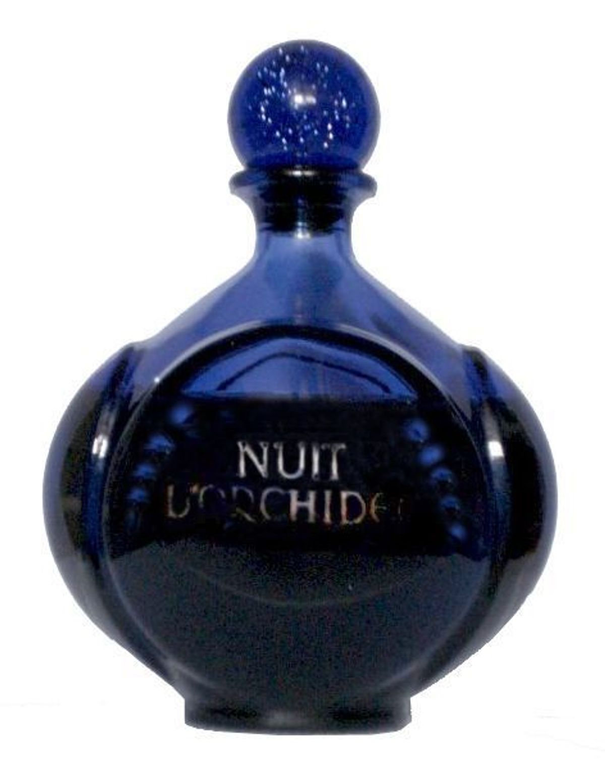 Nuit d'Orchidee