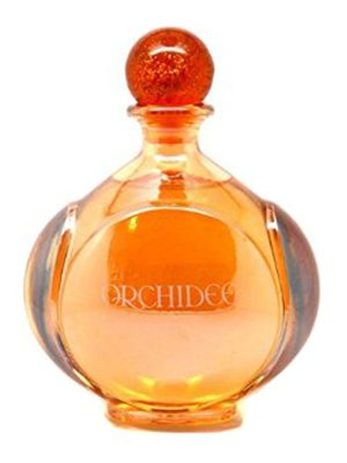 Orchidee