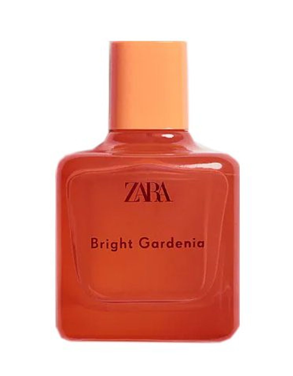 Bright Gardenia