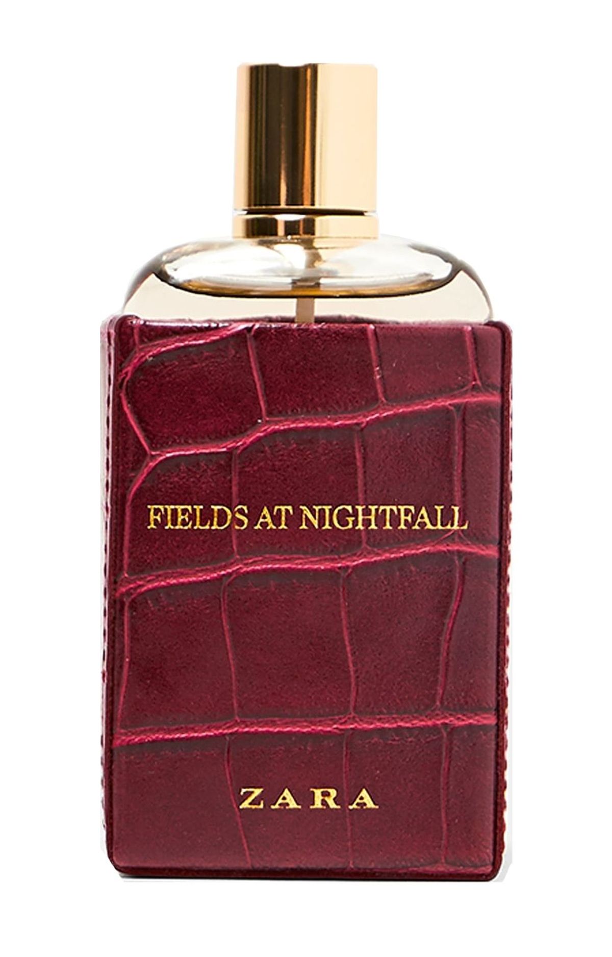 Fields at Nightfall 2018